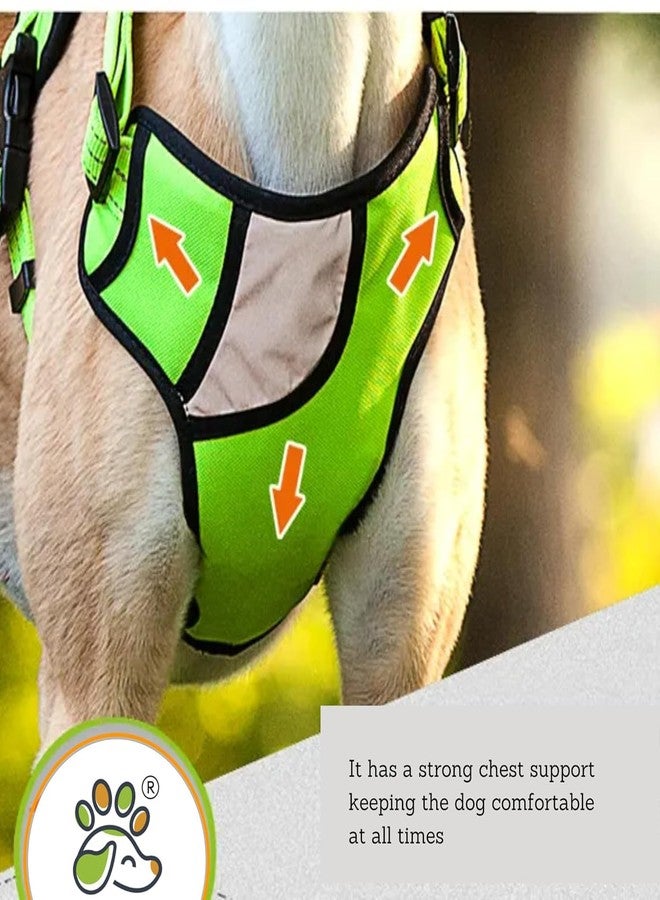 Reflective Dog Harness | Soft Breathable| Padded Handle| Adjustable Straps & Double Lock Buckle| No-Choke Design (Medium) - Image 2