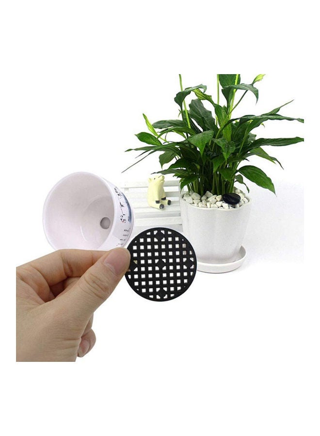 إسكدنيا طقم أدوات زراعة نباتات عصارية صغيرة للحديقة مكون من 30 قطعة أزرق 23 x 6 x 20سم - Image 3