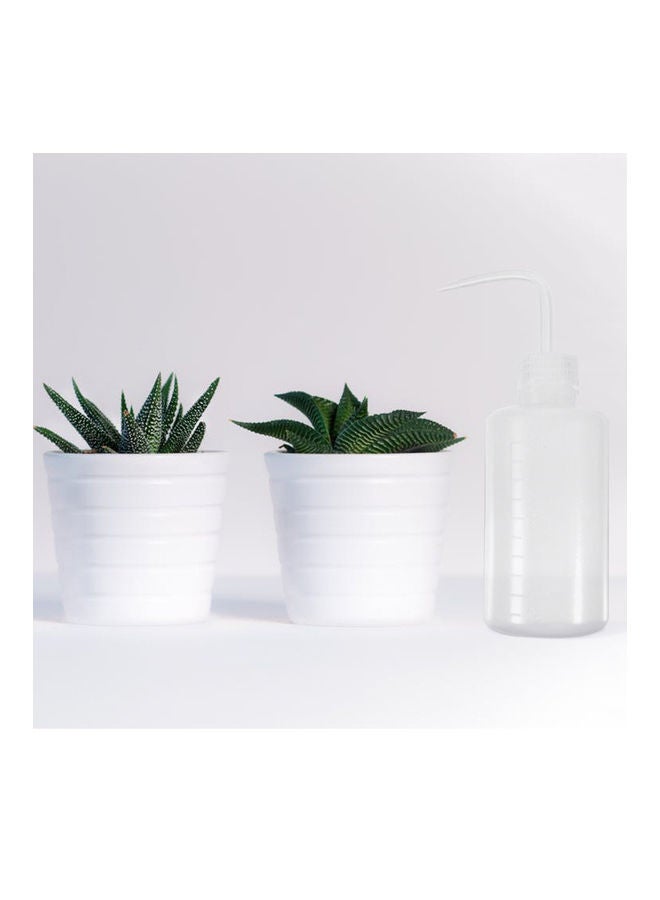 إسكدنيا طقم أدوات زراعة نباتات عصارية صغيرة للحديقة مكون من 30 قطعة أزرق 23 x 6 x 20سم - Image 4