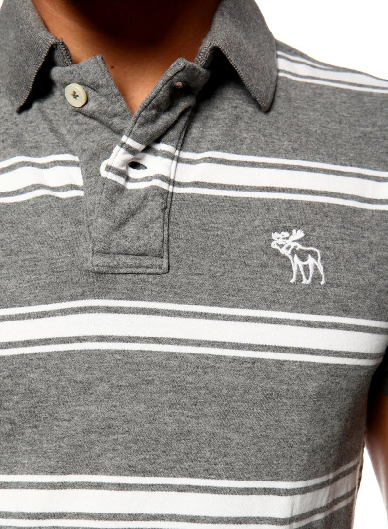 Abercrombie & Fitch Male POLO 69