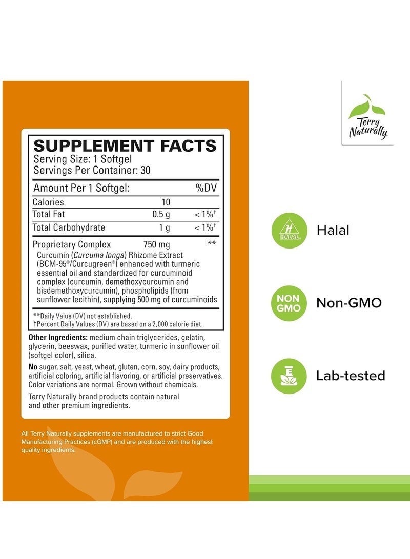 Terry Naturally CuraMed 750mg - Antioxidant Supplement for Brain & Heart Health Support - Dietary Supplement with High-Potency Curcumin Complex - Kidney, Liver & Immune Health Support - 120 Softgels - Image 2