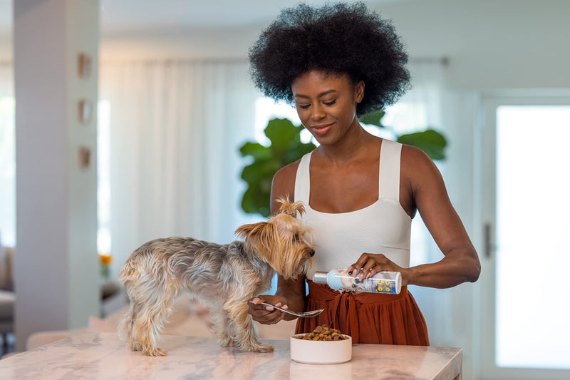 SynergyLabs Shed-X Liquid Dog Supplement, 8oz â€“ 100% Natural â€“ Helps Dog Shedding, Fish Oil for Dogs Supports Skin & Coat, Dog Oil for Food with Essential Fatty Acids, Vitamins, and Minerals - Image 1