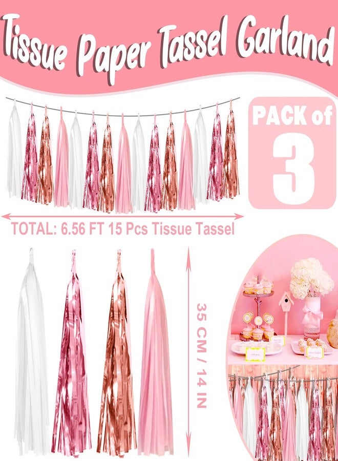 Hysilla 3P Pink White Peach Rose Gold Tassels Foil Fringe Metallic Garland Banner, Tassels Banner Streamers for Parade Floats, Bachelorette, Wedding, Birthday, Christmas, Bridal/Baby Shower Party Decorations - Image 4