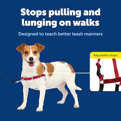 PetSafe Easy Walk Harness for Dogs - Pull-Free Walks - Patented Martingale Loop Design - Front Chest Leash Attachment - Comfort Straps - Breathable Harness Design - Small, Red/Black - Image 3