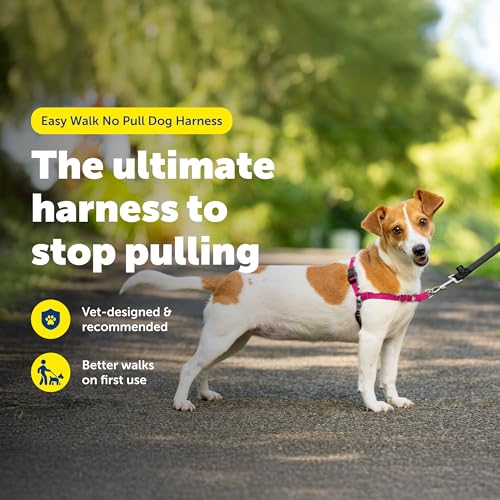 PetSafe Easy Walk Harness for Dogs - Pull-Free Walks - Patented Martingale Loop Design - Front Chest Leash Attachment - Comfort Straps - Breathable Harness Design - Small, Red/Black - Image 2