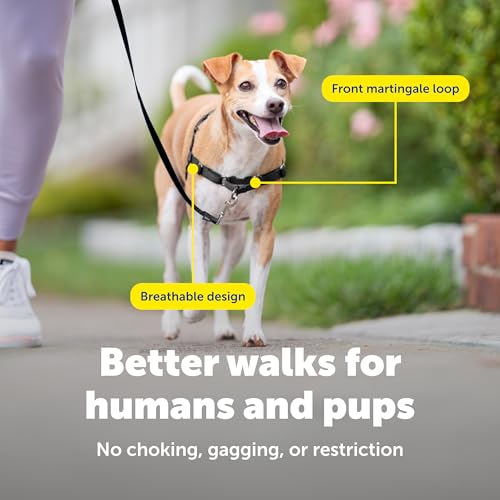 PetSafe Easy Walk Harness for Dogs - Pull-Free Walks - Patented Martingale Loop Design - Front Chest Leash Attachment - Comfort Straps - Breathable Harness Design - Small, Red/Black - Image 4