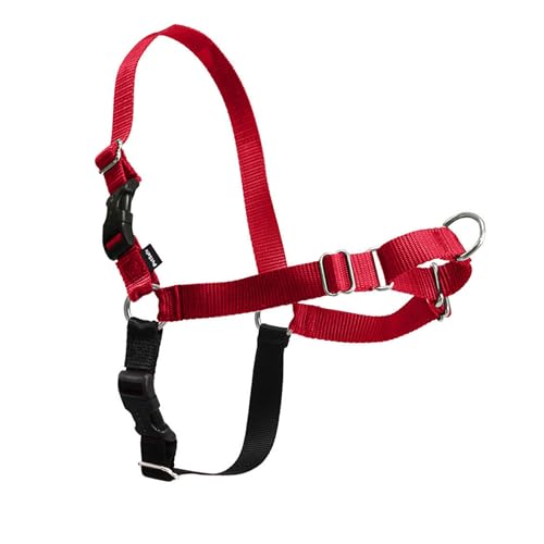 PetSafe Easy Walk Harness for Dogs - Pull-Free Walks - Patented Martingale Loop Design - Front Chest Leash Attachment - Comfort Straps - Breathable Harness Design - Small, Red/Black - Image 1