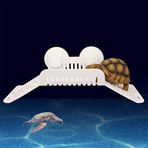 EDTara Bridge Shape Amphibious Reptiles Bask Platform Turtle Floating Platform with Sucking Disk Aquarium Terrarium Decoration - Image 4