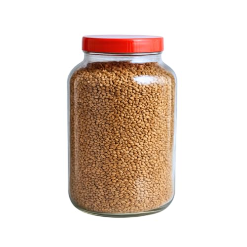 CROCO JAR Premium Glass Jar with Lid | Airtight Storage Container | Multipurpose Glass Jar for Kitchen, Snacks, Spices & More | Durable & Stylish | 2 Litre (2000ml | Set of 1 - Image 1