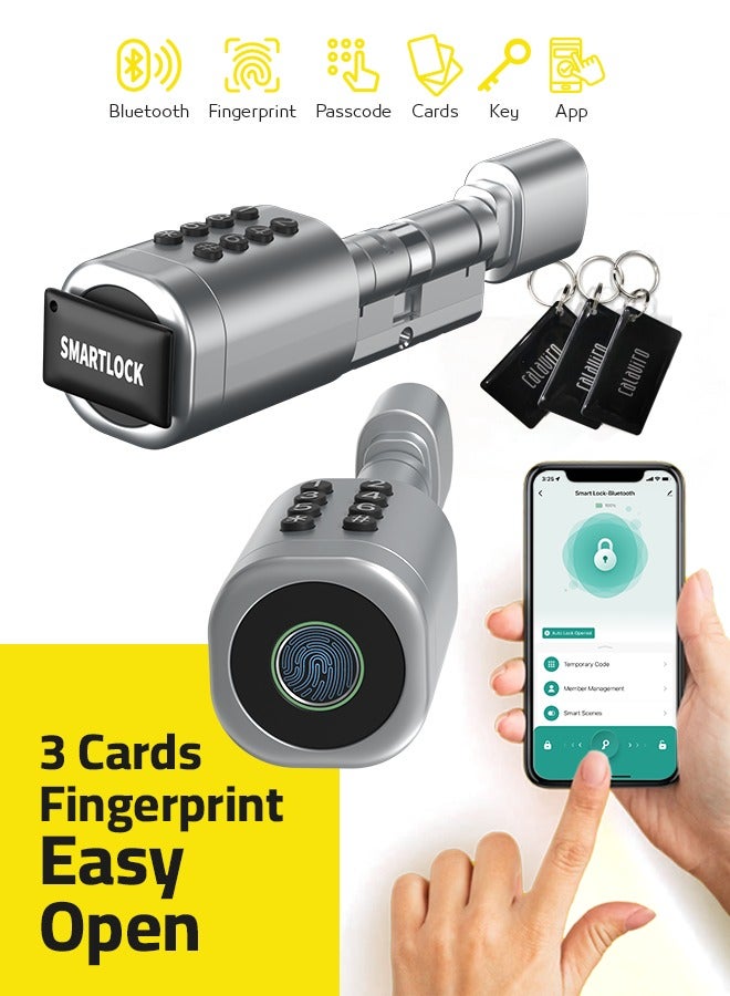 Calaviro clyinder smart lock