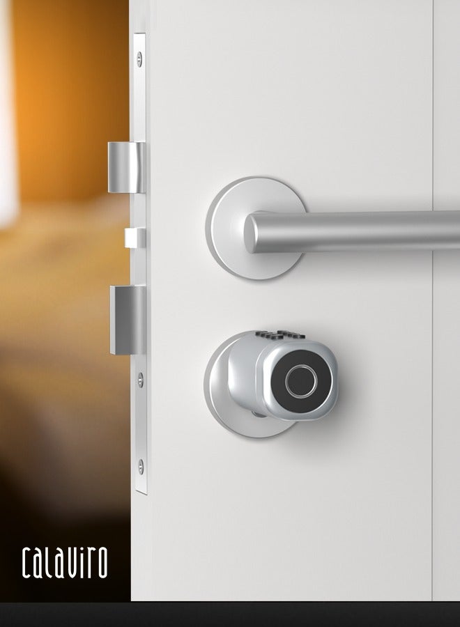 Calaviro clyinder smart lock