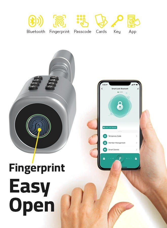 Calaviro clyinder smart lock