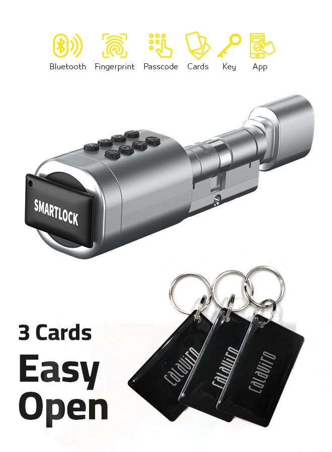 Calaviro clyinder smart lock