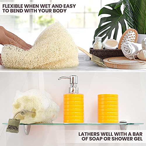 Almooni Egyptian Loofah Exfoliating Body Scrubber, Natural Real Egyptian Shower Loofah Sponge Body Scrubber for Women and Men, for Body and Face That Will Get You Clean - 2 Count (1 Pack) - Image 3
