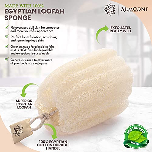 Almooni Egyptian Loofah Exfoliating Body Scrubber, Natural Real Egyptian Shower Loofah Sponge Body Scrubber for Women and Men, for Body and Face That Will Get You Clean - 2 Count (1 Pack) - Image 2