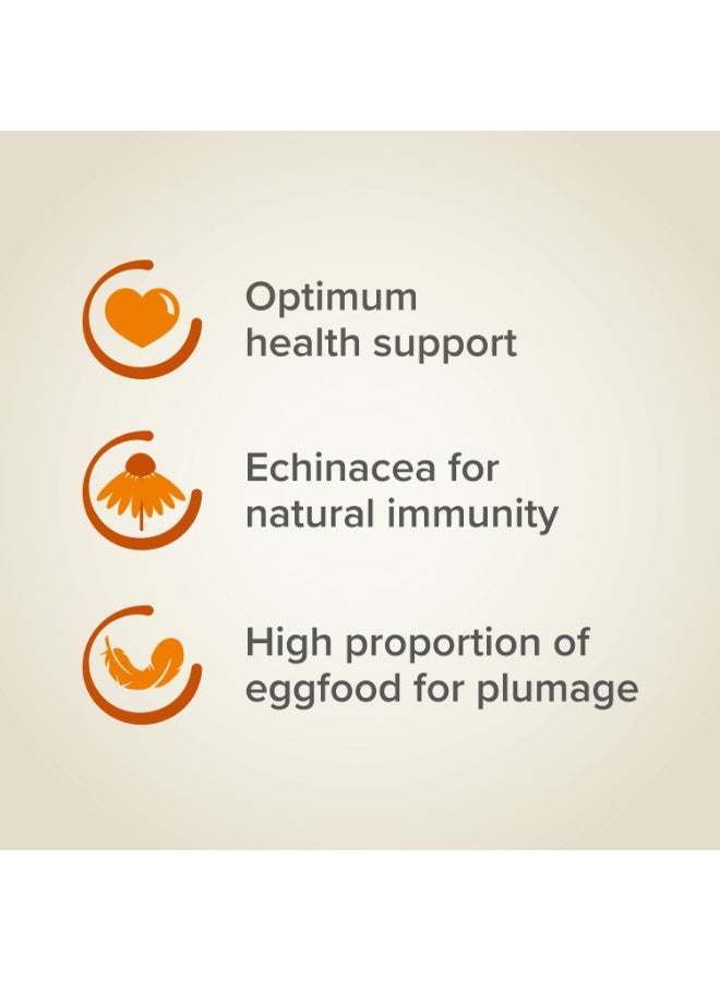 بيفار ببغاء إكسترا فيتال كبير 1 كجم - Image 3