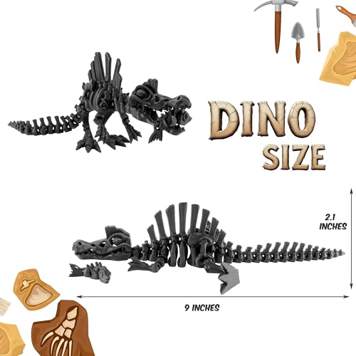 PowerTRC 3D Printed Skeleton Spinosaurus Prehistoric Collectible Articulating Dinosaur 3D Figurine Desk Decoration for Teens and Adults Made in USA - Image 5