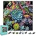 Mys Aurora Wooden Puzzles for Adults 500 Pieces Succulent Plant Jigsaw Puzzles with Unique Shapes 5MM Thick LaserCut Pieces Box Family Puzzle Games for Kids and Adults - Image 2
