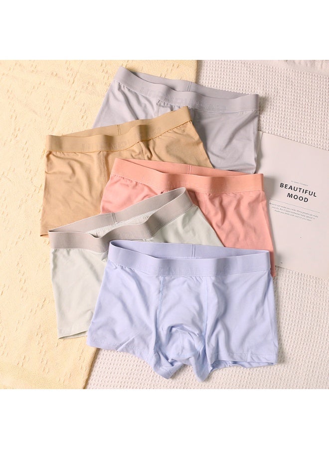 KUYING New Comfortable Skin friendly Breathable Underwear Set of 5  - Image 1