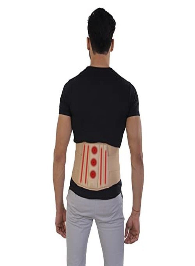 Spoinkky Magnetic Lumbar Support Belt | Brace For The Lower Back Pain Relief | Magnetic | Lower Back Brace Support | Lumbar Support Waist Belt (Beige) - Medium - Image 3