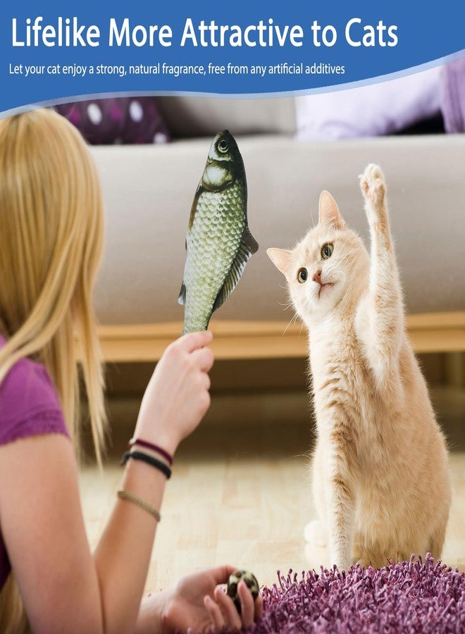 CIYOJA Cat Toys Cat Toy Interactive Fish for Indoor Cats & Kittens, 6 Pack Plush Fishs for Chewing, Soft Fish Play for Cats, No Catnip, Non-Irritating Pet Gift - Image 2