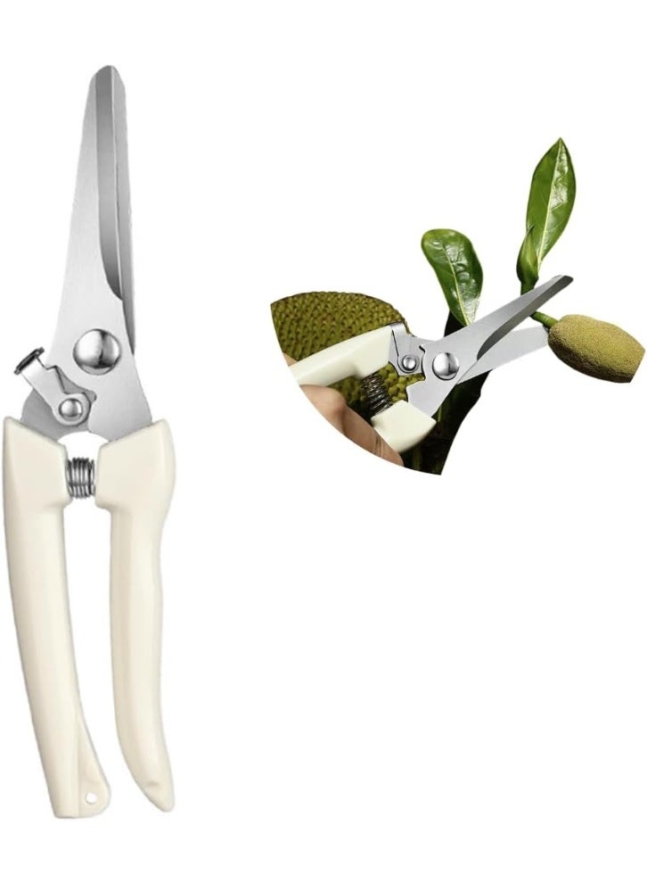 Straight Tip Garden Pruning Shears for Flowers, Plants, and Bonsai - Image 1
