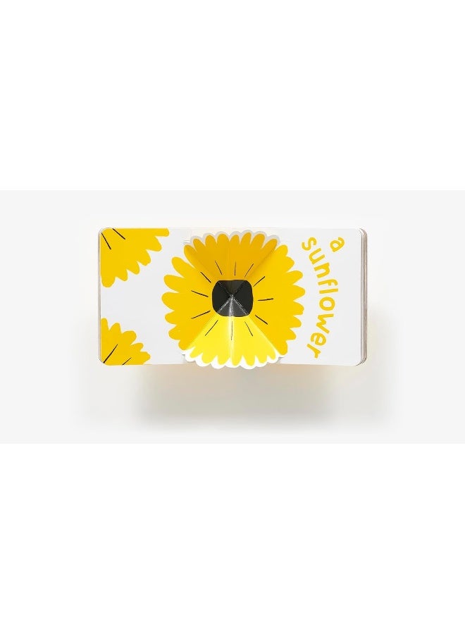 Yellow Pop (With 6 Playful Pop-Ups!): A Board Book  - Image 3