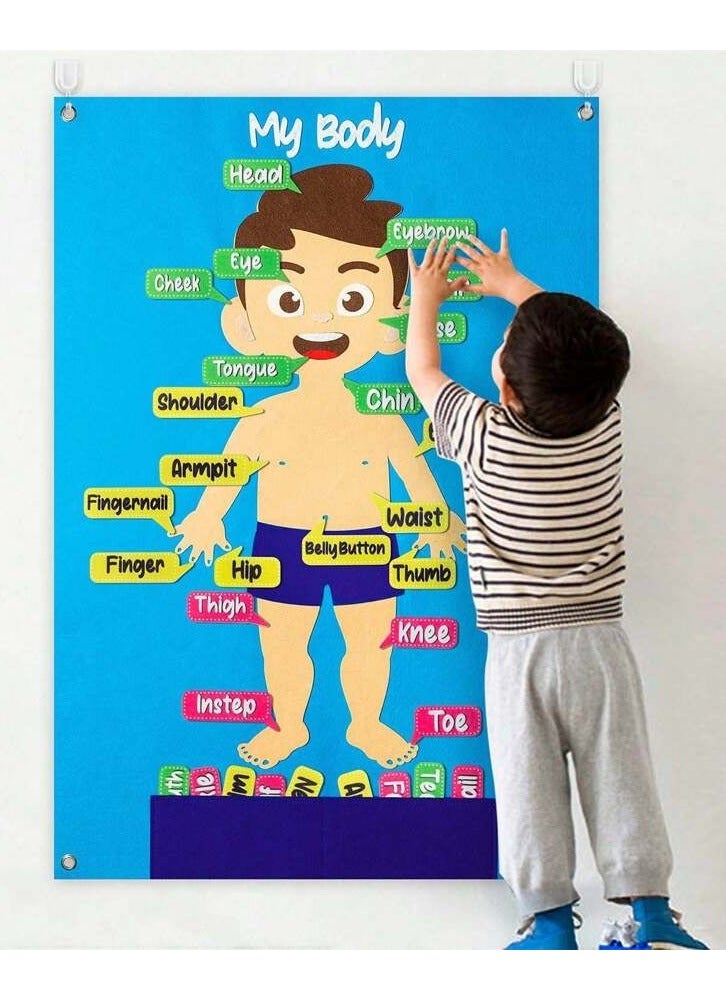 Educational board for children to learn body parts with interactive cards that can be easily attached. Suitable for home and educational use. The board contains clear drawings of body parts with removable and adhesive cards, which helps children improve their cognitive skills in a fun way. - Image 4
