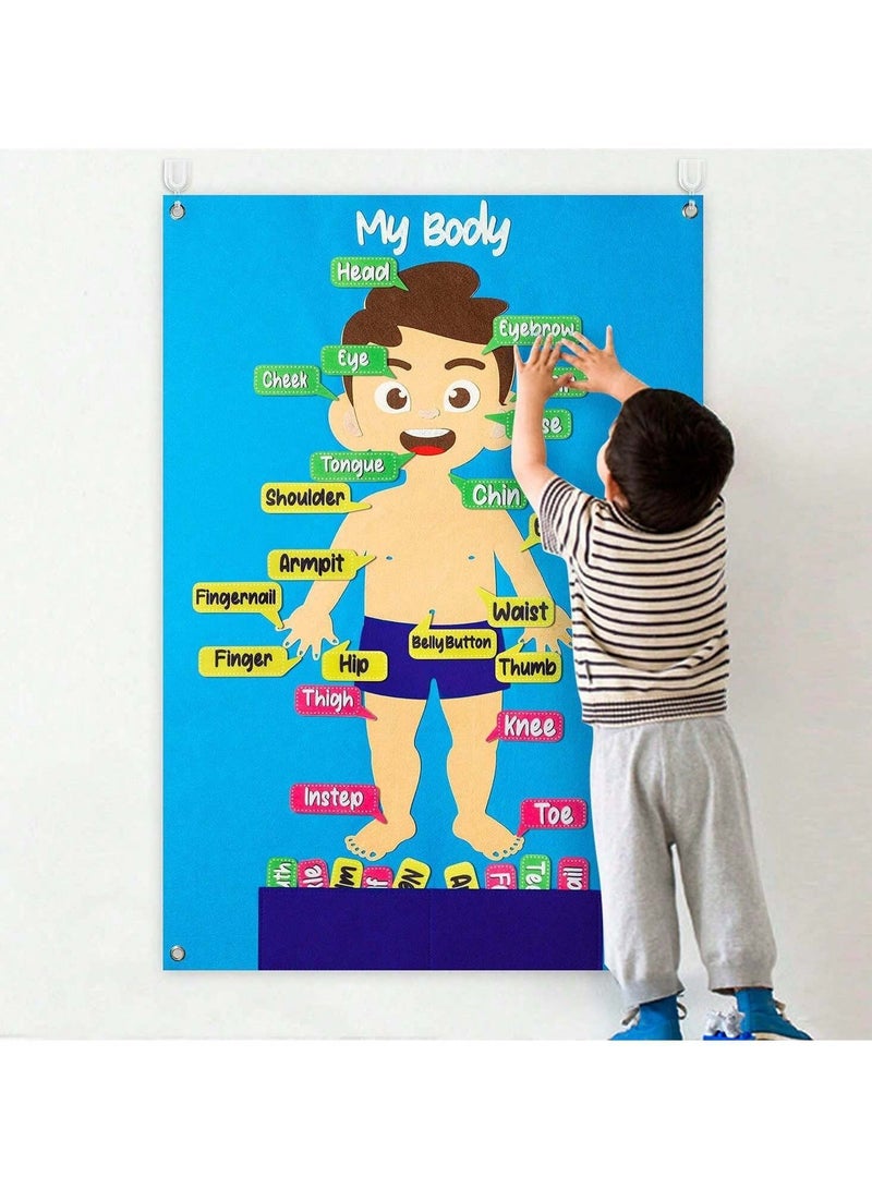 Educational board for children to learn body parts with interactive cards that can be easily attached. Suitable for home and educational use. The board contains clear drawings of body parts with removable and adhesive cards, which helps children improve their cognitive skills in a fun way. - Image 1