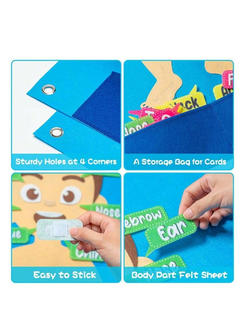 Educational board for children to learn body parts with interactive cards that can be easily attached. Suitable for home and educational use. The board contains clear drawings of body parts with removable and adhesive cards, which helps children improve their cognitive skills in a fun way. - Image 3