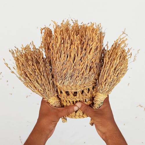 Suvasane Pooja Room Toran with Natural Golden Paddy – 3.5 Feet Long Door Decoration & 2 Paddy Hangings (Pack of 1) | Gift Item for Diwali | - Image 2