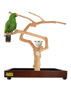 CHEWY BEAK Bird Stand Table Top Natural wooden Parrot Play Stand Indonesian Java wood Tree Perches with Stainless steel feeder medium size  - Image 1