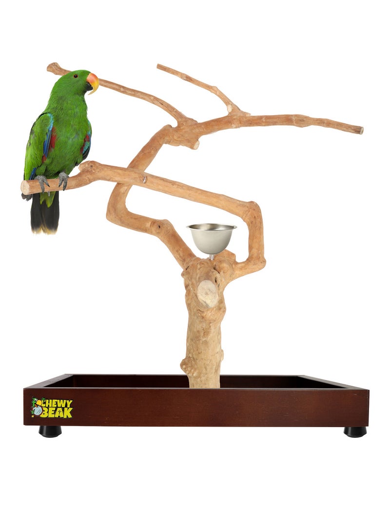 CHEWY BEAK Bird Stand Table Top Natural wooden Parrot Play Stand Indonesian Java wood Tree Perches with Stainless steel feeder medium size  - Image 1