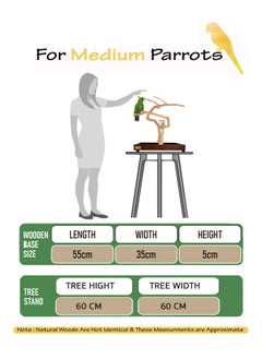CHEWY BEAK Bird Stand Table Top Natural wooden Parrot Play Stand Indonesian Java wood Tree Perches with Stainless steel feeder medium size  - Image 2