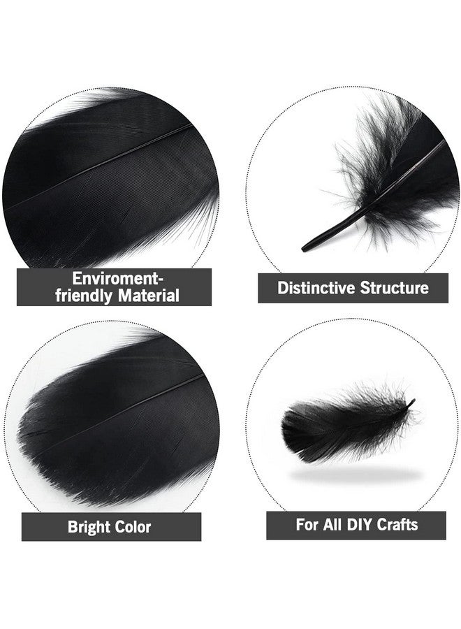 MWOOT 400Pcs Black White Feathers, 4 Assorted Crafts Feathers For Halloween Costume Wings Dream Catchers Diy Christmas Tree Wreath Wedding Decor Art Handmade - Image 2
