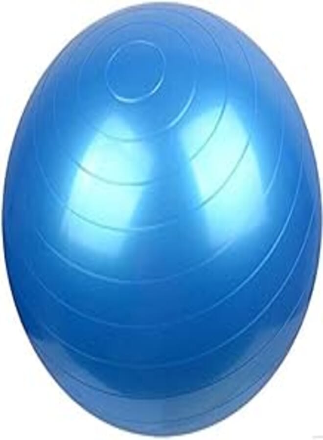 65cm exercise Fitness Aerobic Ball for GYM Yoga Pilates Pregnancy Birthing Swiss For exercise