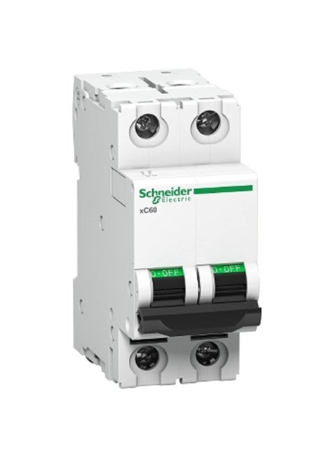 Schneider MCB 6A DP CCurve ACTI9 10kA Miniature CircuitBreaker White A9N2P06C
