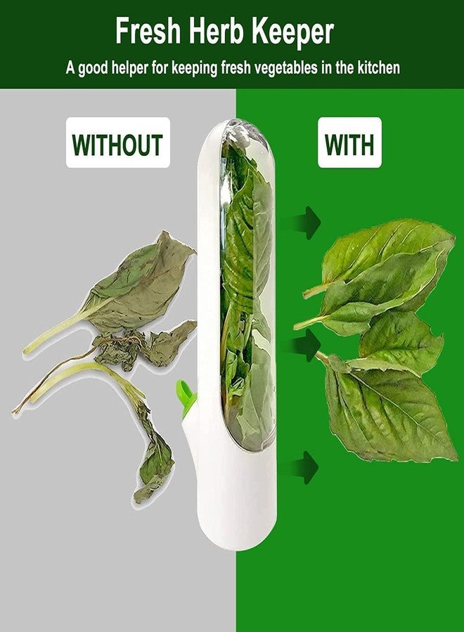 Vaximel Herb & Vegetable Fresh Keeper Bottle for Fridge – Airtight Storage Container for Mint, Coriander, Parsley, Cilantro, Asparagus – Keeps Greens Fresh Longer – BPA-Free Kitchen Organizer (1 PIC) - Image 4
