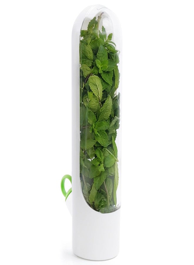 Vaximel Herb & Vegetable Fresh Keeper Bottle for Fridge – Airtight Storage Container for Mint, Coriander, Parsley, Cilantro, Asparagus – Keeps Greens Fresh Longer – BPA-Free Kitchen Organizer (1 PIC) - Image 1