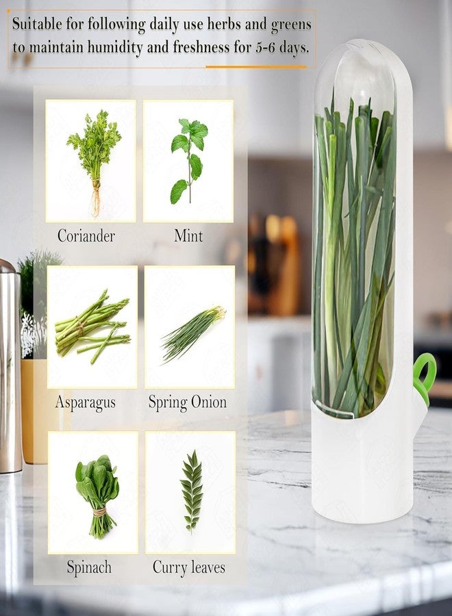 Vaximel Herb & Vegetable Fresh Keeper Bottle for Fridge – Airtight Storage Container for Mint, Coriander, Parsley, Cilantro, Asparagus – Keeps Greens Fresh Longer – BPA-Free Kitchen Organizer (1 PIC) - Image 5