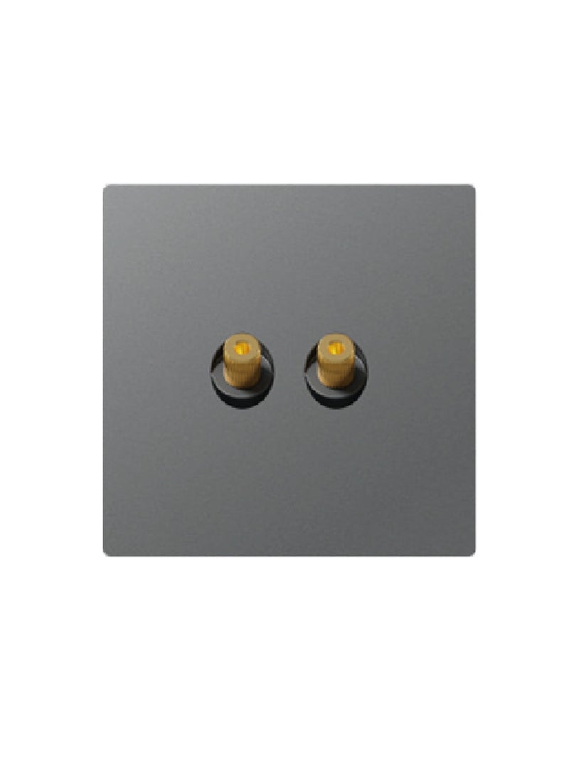 Information socket (single set of audio socket) 