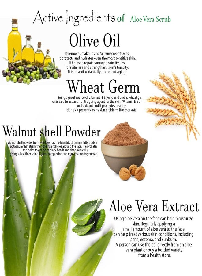 Lilium Active Anti-Oxidants AloeVera Face Scrub, 500ML - Image 2
