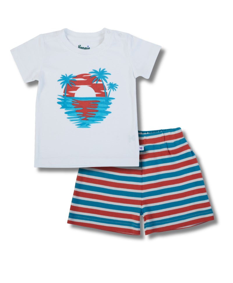 Pranava Boys Organic Cotton T-Shirt & Shorts Set - Image 2