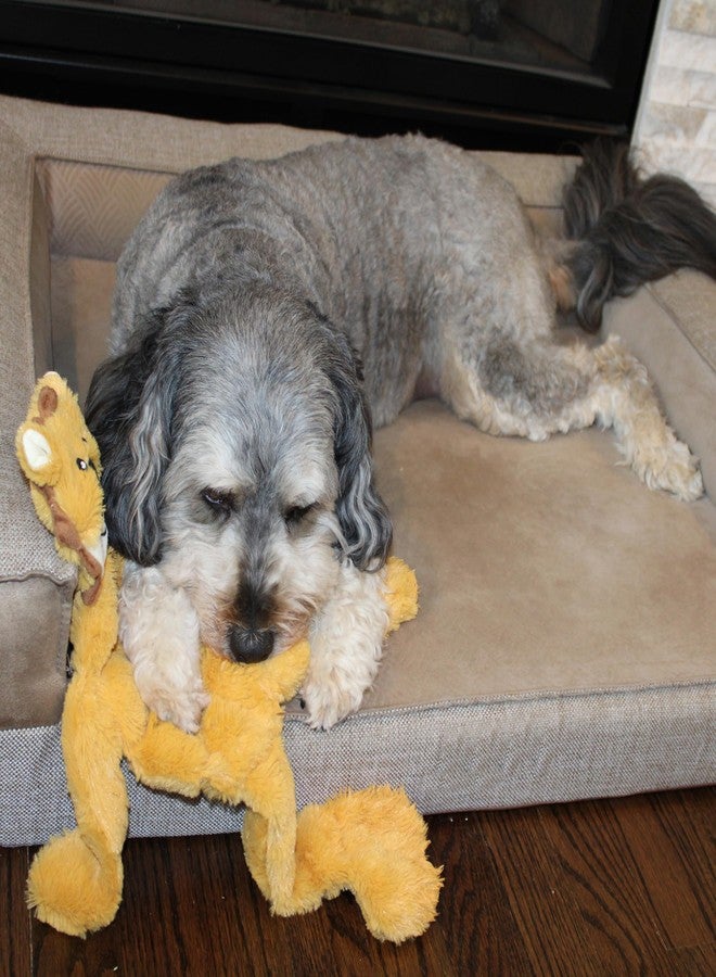 SPOT Skinneeez Tons-O-Squeakers Jungle Cat Dog Toy - 19 Squeakers for Tons-O-Fun! Stuffing-Free Design Perfect for Moderate Chewers, Tug Toy for Medium to Large Puppies & Dogs - 20in, Style May Vary - Image 2