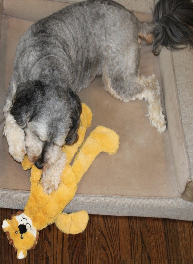 SPOT Skinneeez Tons-O-Squeakers Jungle Cat Dog Toy - 19 Squeakers for Tons-O-Fun! Stuffing-Free Design Perfect for Moderate Chewers, Tug Toy for Medium to Large Puppies & Dogs - 20in, Style May Vary - Image 5