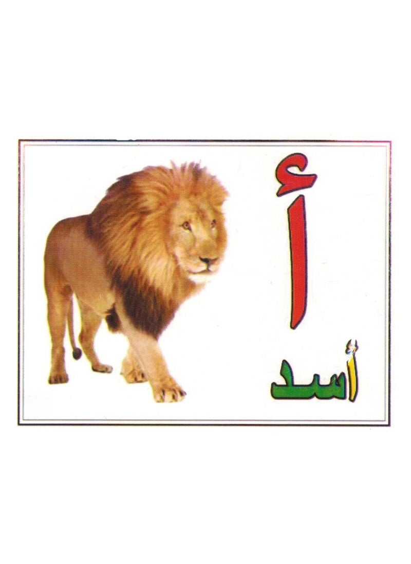 Flash Teaching Cards Arabic Letters  - Image 1