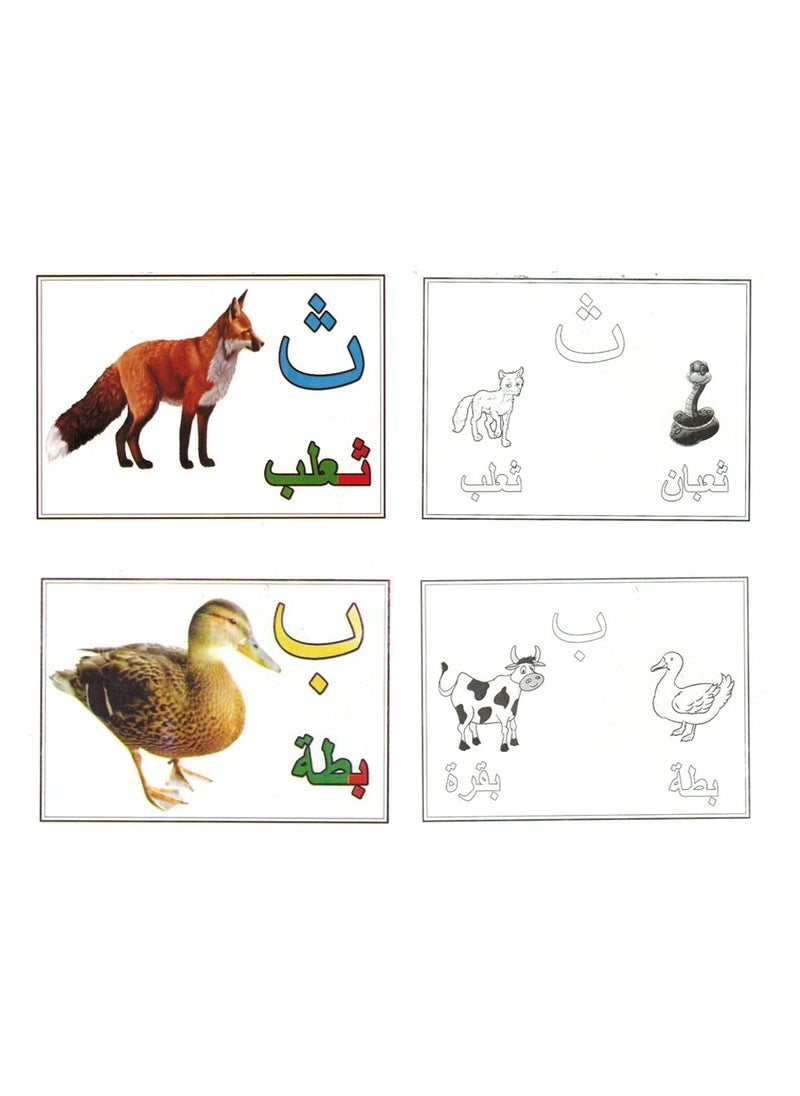 Flash Teaching Cards Arabic Letters  - Image 2