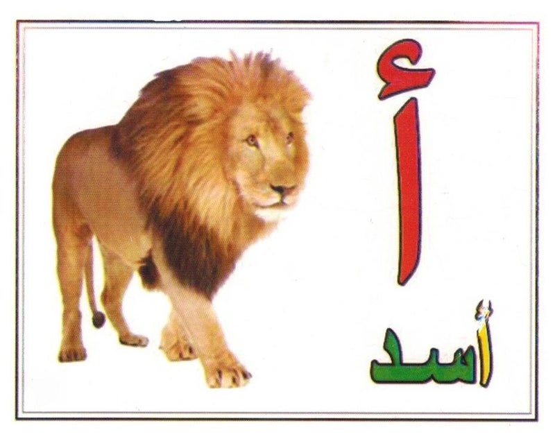 فلاش كروت تعليمية الحروف العربية - Image 1
