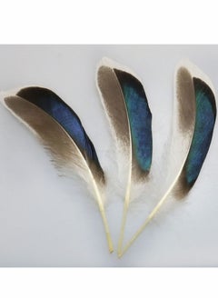 Y&D 150 PCS Duck Feathers, Natural for DIY Craft Art, Decor Carnival Halloween Handwork Clothing Costumes Hair Hats Crafts Home Wedding Party Decoration  - Image 5