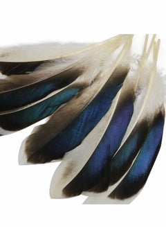 Y&D 150 PCS Duck Feathers, Natural for DIY Craft Art, Decor Carnival Halloween Handwork Clothing Costumes Hair Hats Crafts Home Wedding Party Decoration  - Image 3